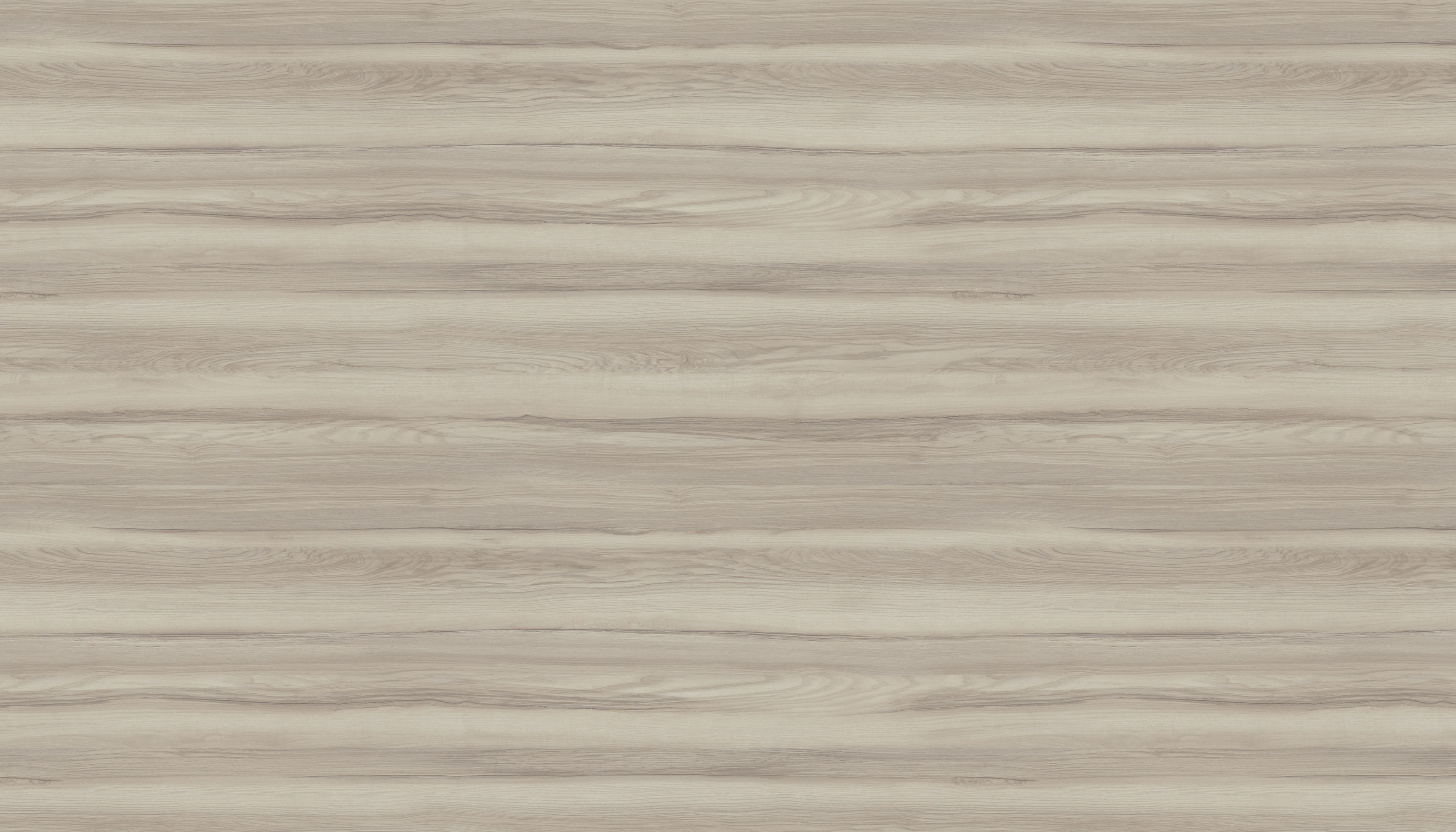 奧里諾科水曲柳