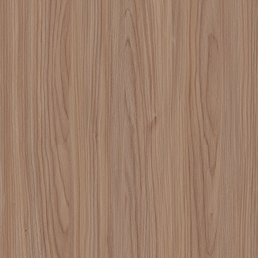 WS1007-1D