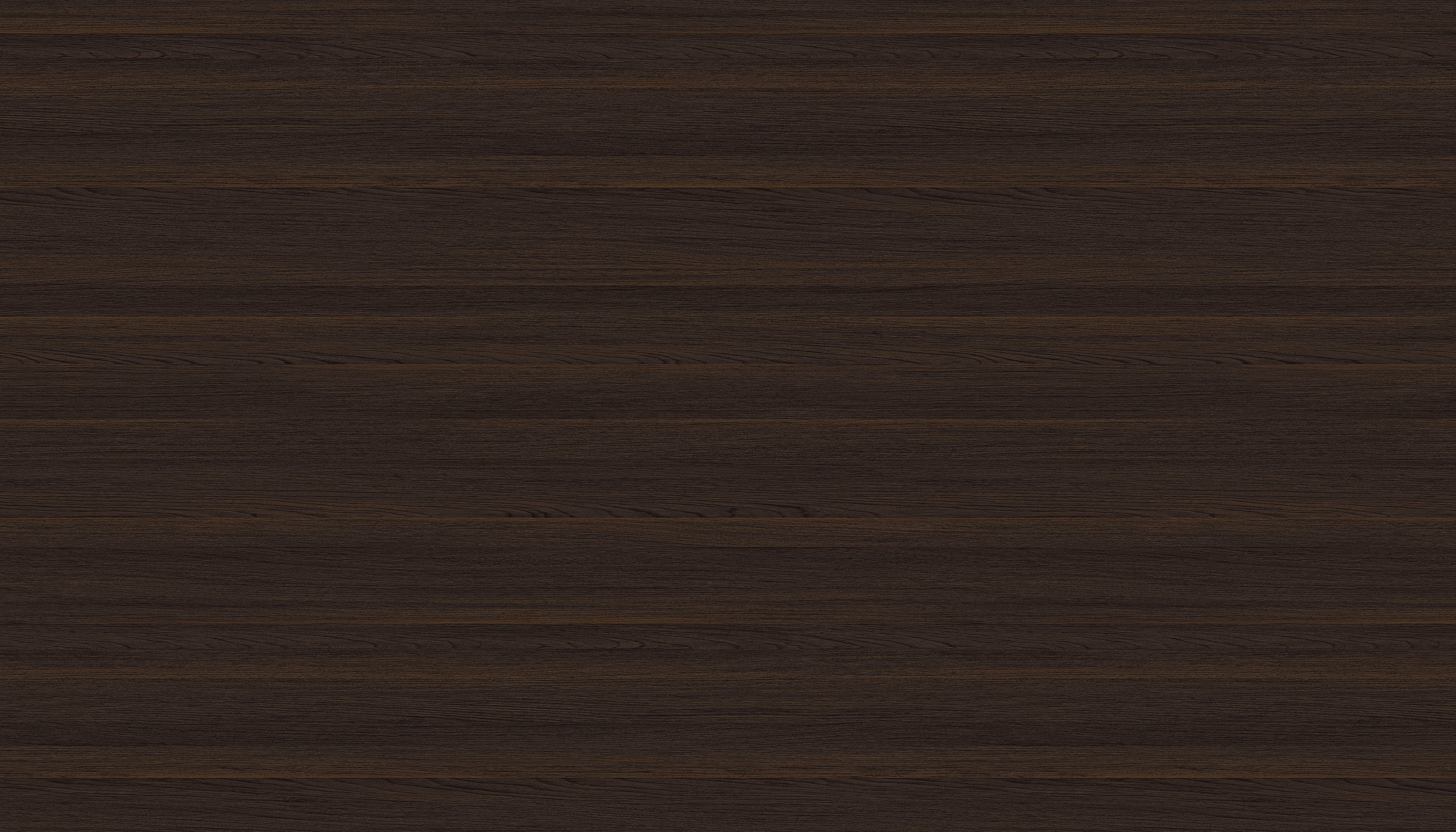 WS1008-2D
