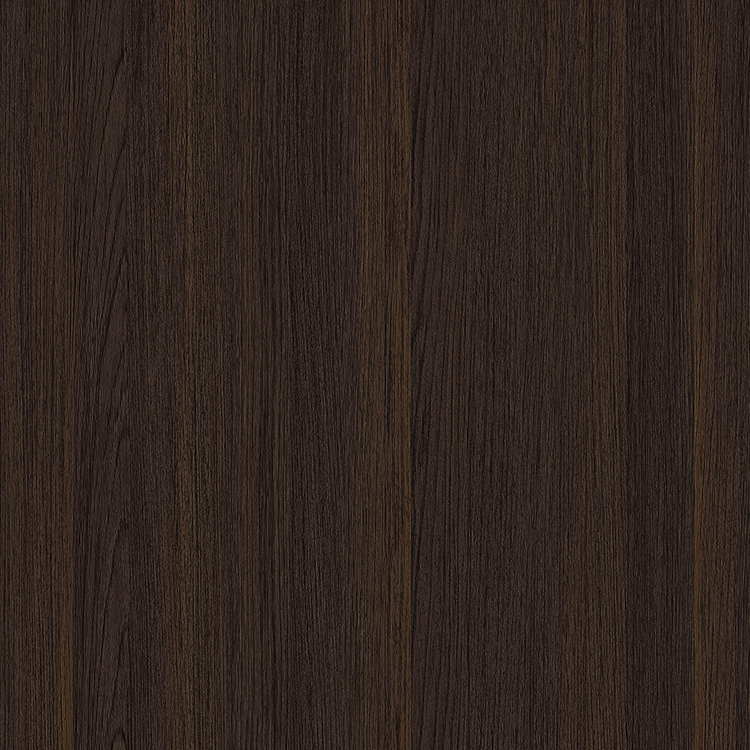 WS1008-2D