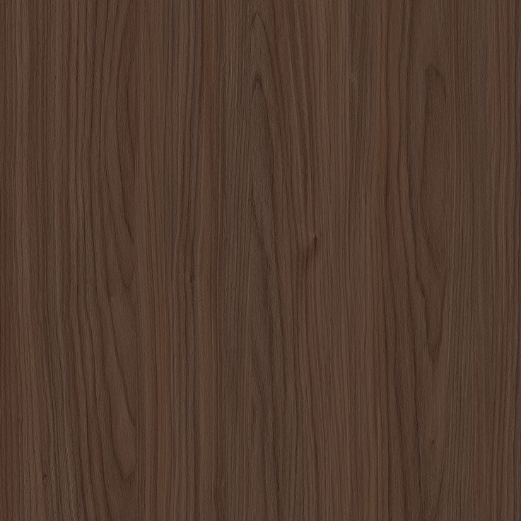 WS1007-3D
