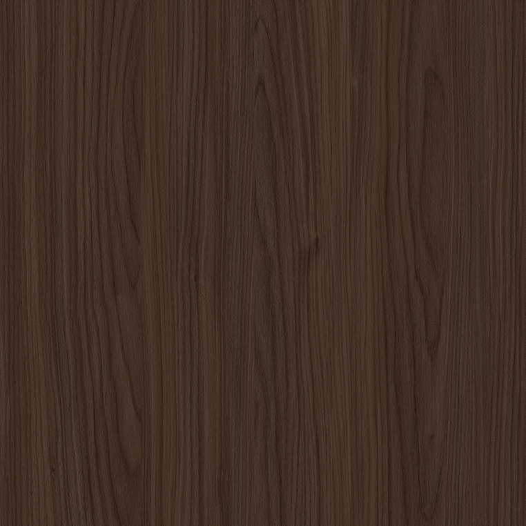 WS1007-2D