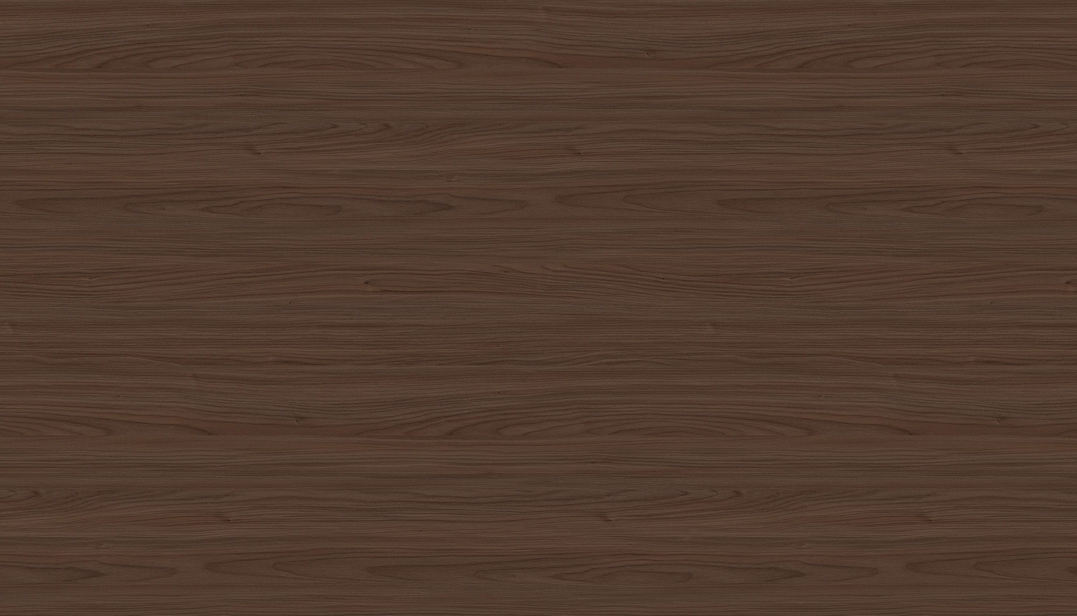 WS1007-3D