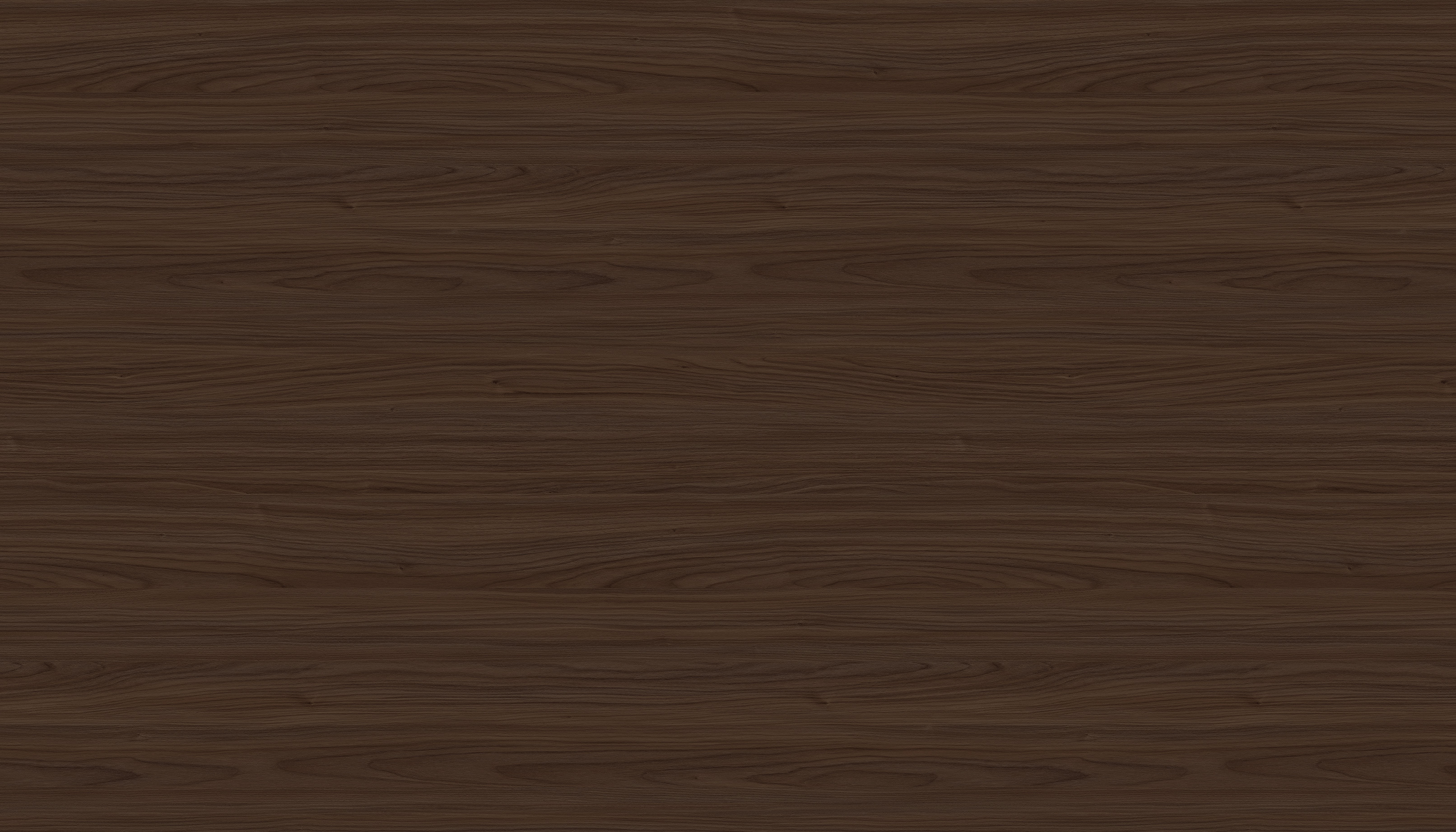 WS1007-2D